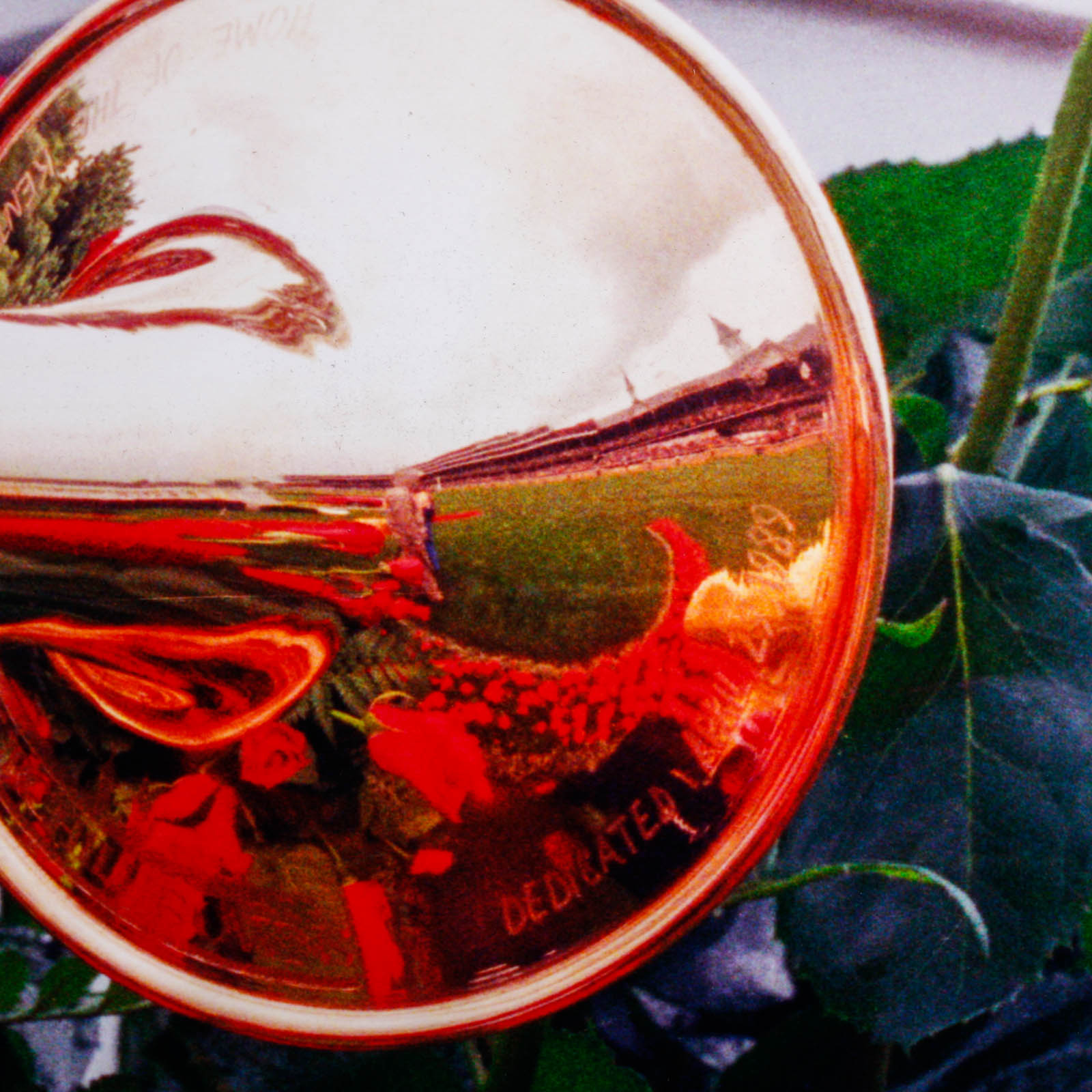 Framed Laminate 1989 Kentucky Derby Horn and Roses Photographic Poster