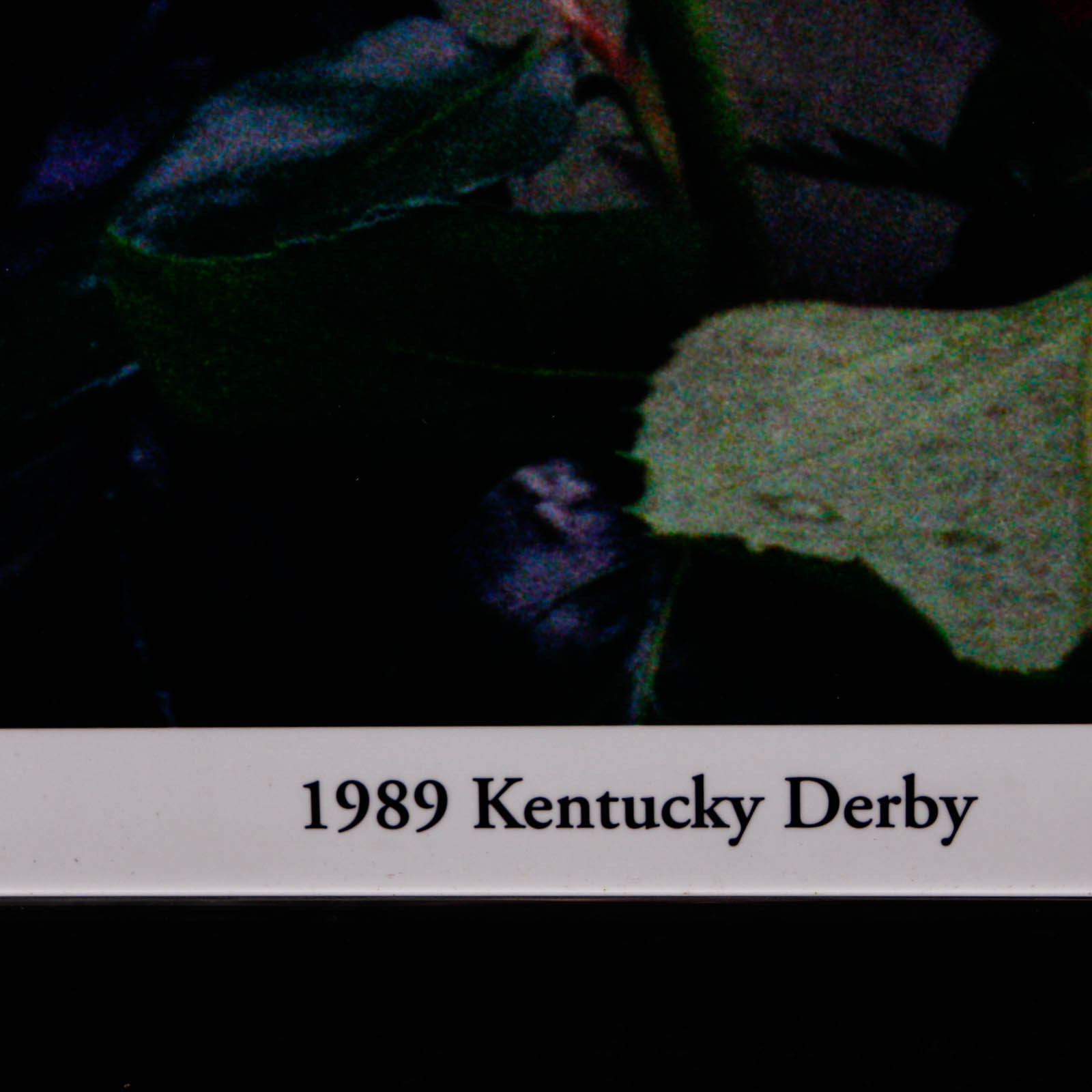 Framed Laminate 1989 Kentucky Derby Horn and Roses Photographic Poster