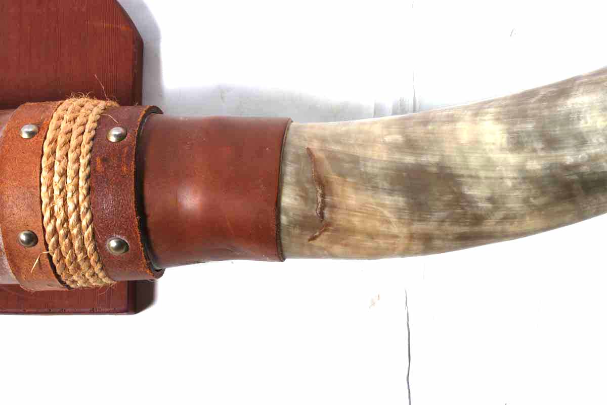 Steer Horn Mount