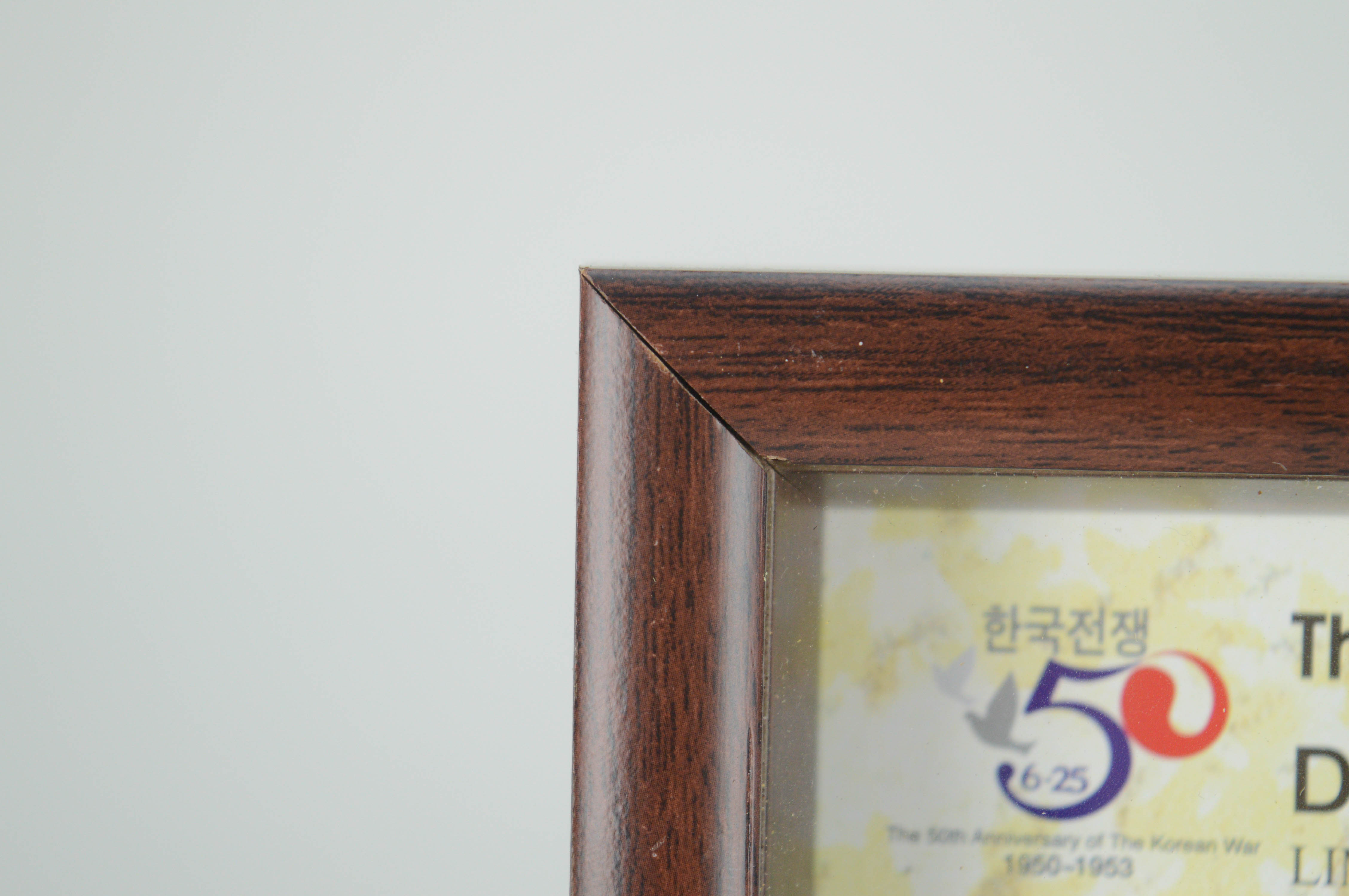 Piece of Wire Fence from the DMZ in Korea