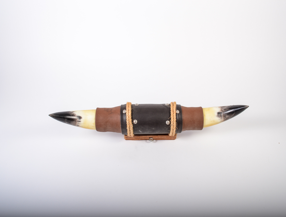 Mounted Ox Horns