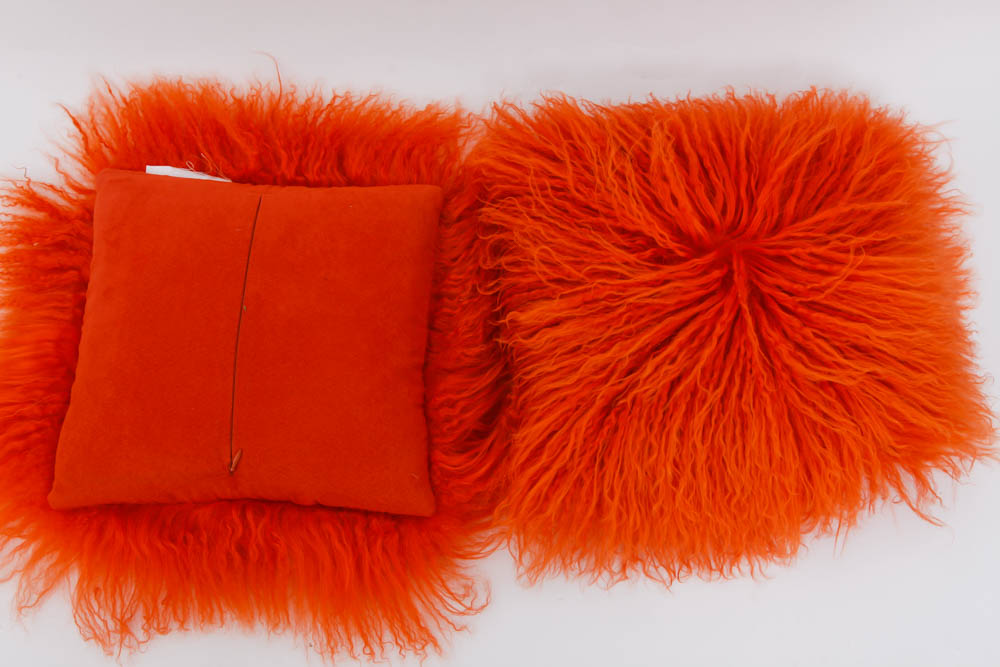 Grouping of Decorative Pillows and Throw