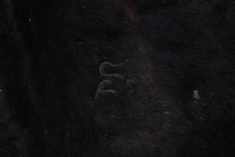 Koldby Cow Hide Rug From Ikea