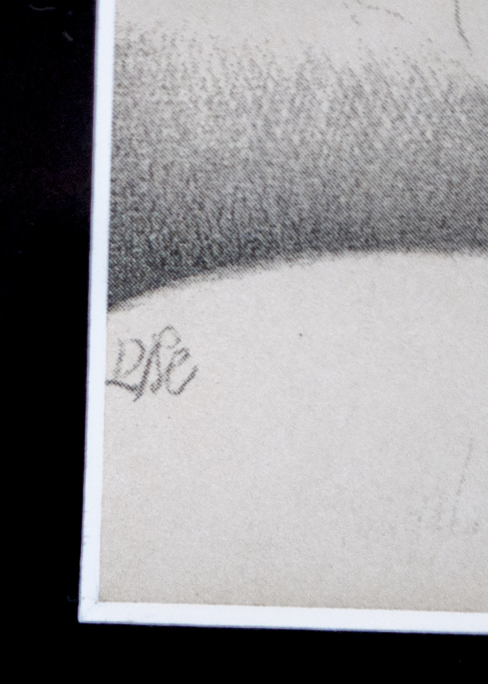 Black-and-White Lithograph