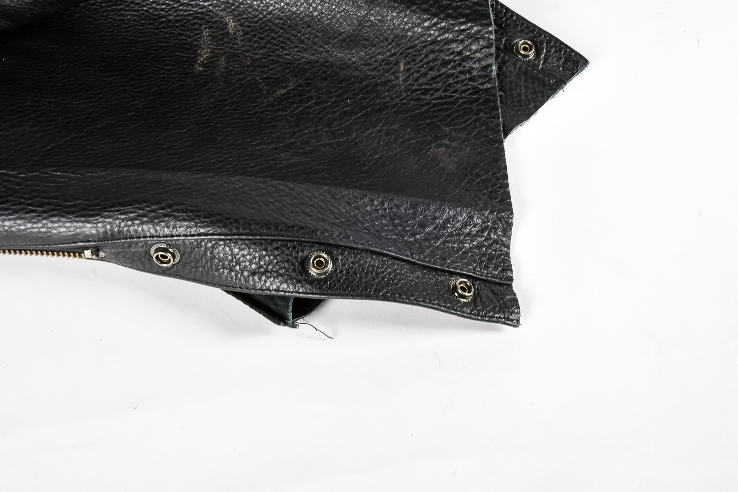 Embossed Harley Davidson Leather Chaps