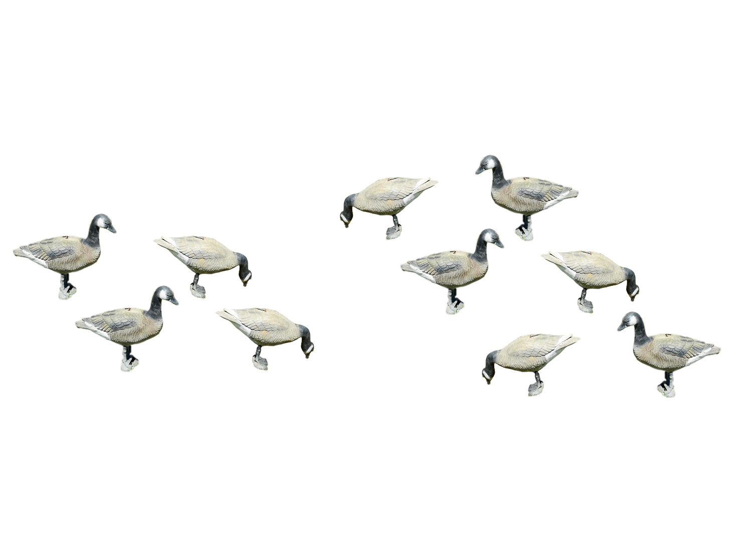 Goose Decoy Cleanout