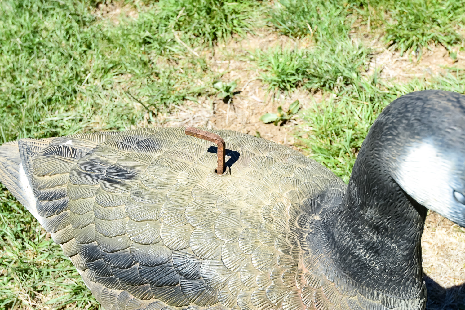 Goose Decoy Cleanout