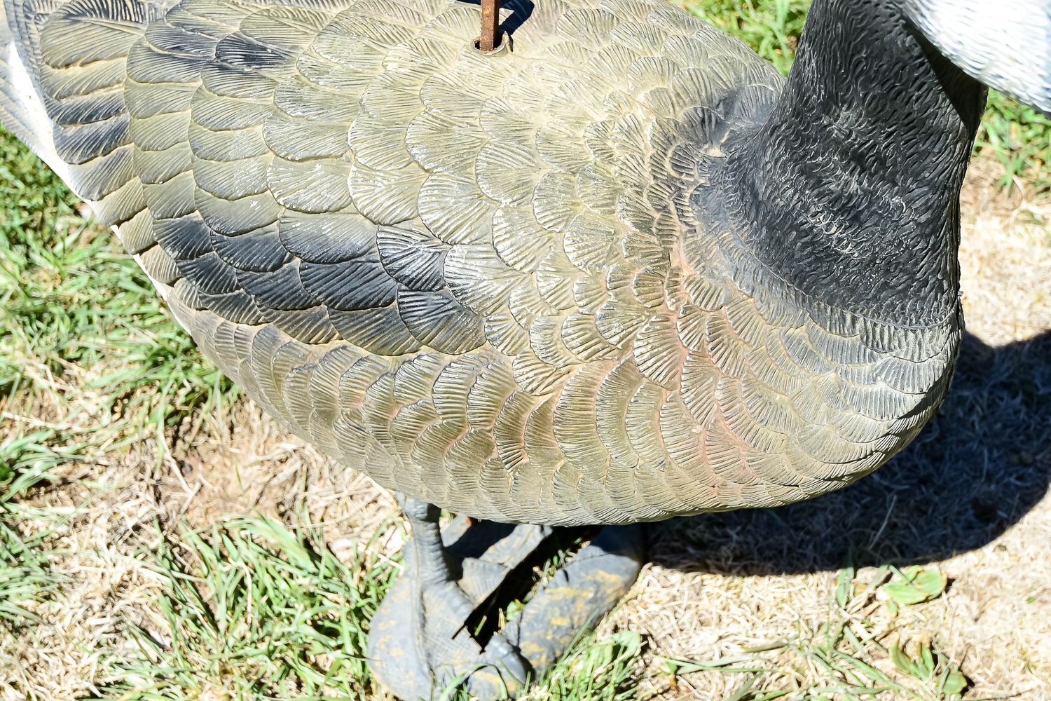 Goose Decoy Cleanout