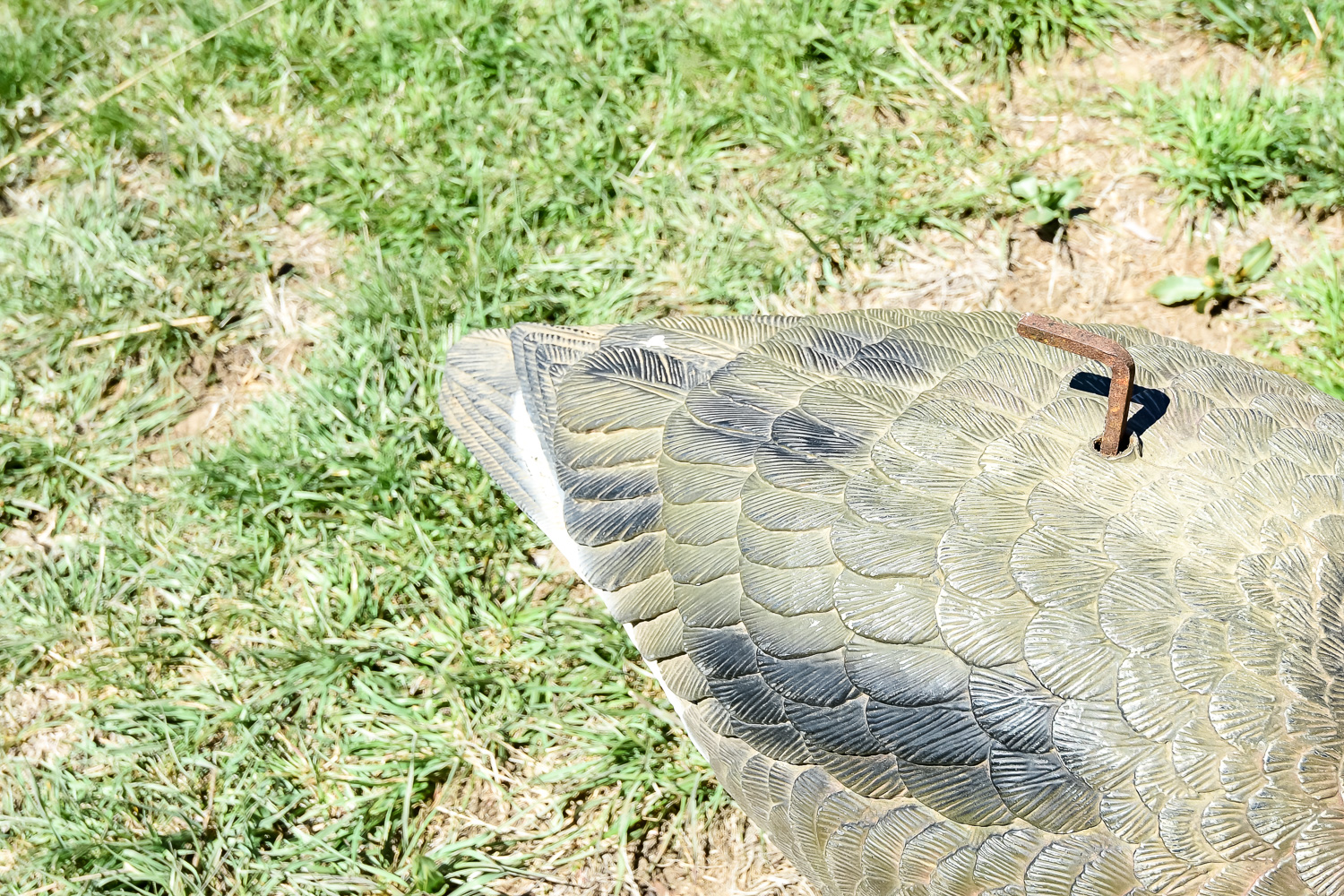 Goose Decoy Cleanout