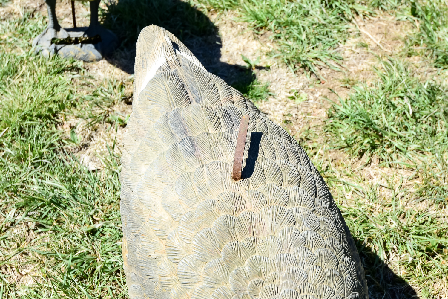 Goose Decoy Cleanout