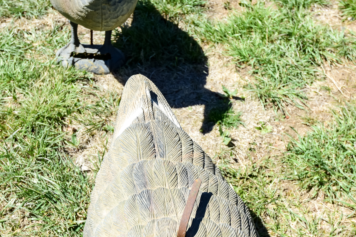 Goose Decoy Cleanout