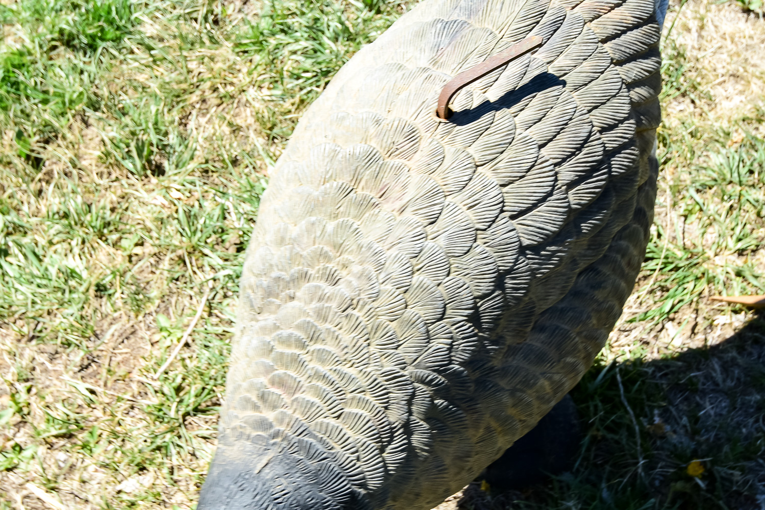 Goose Decoy Cleanout