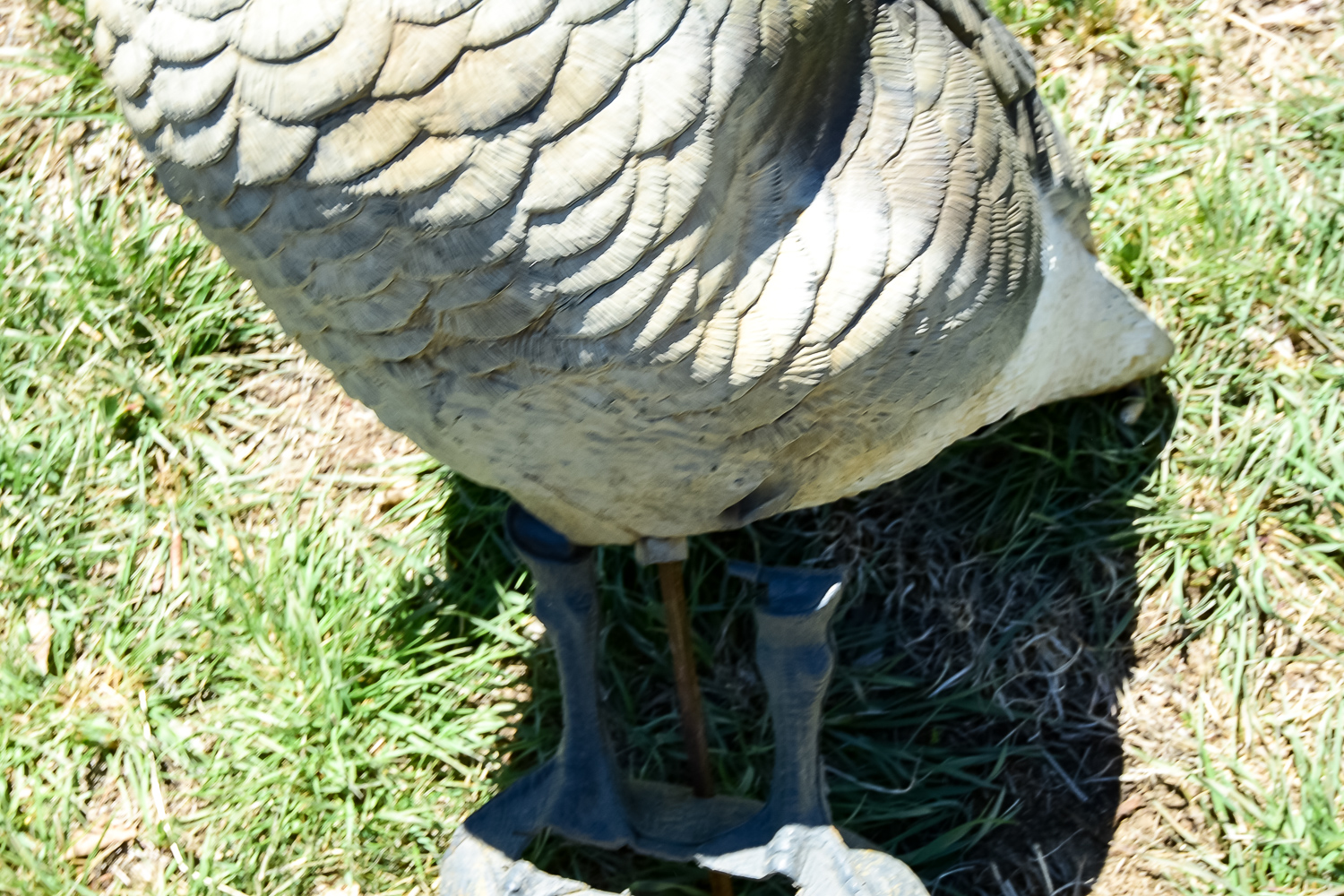 Goose Decoy Cleanout