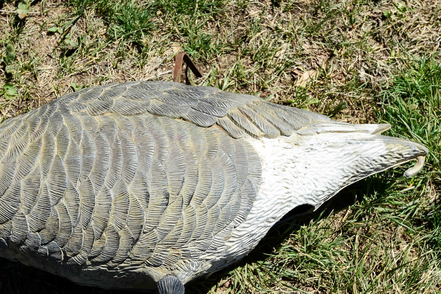 Goose Decoy Cleanout