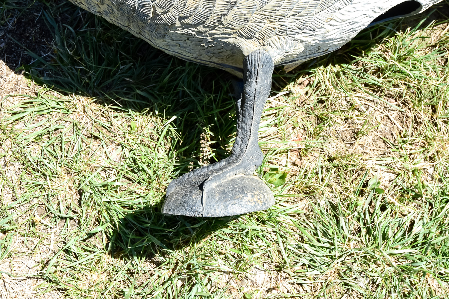 Goose Decoy Cleanout