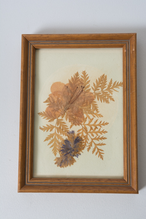 Assortment of Picture Frames