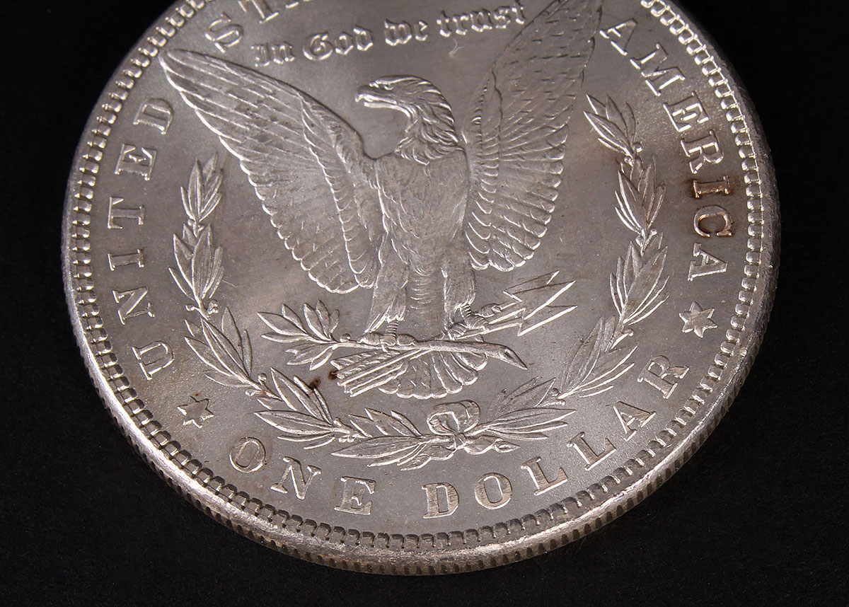 Two 1884 Morgan Silver Dollars