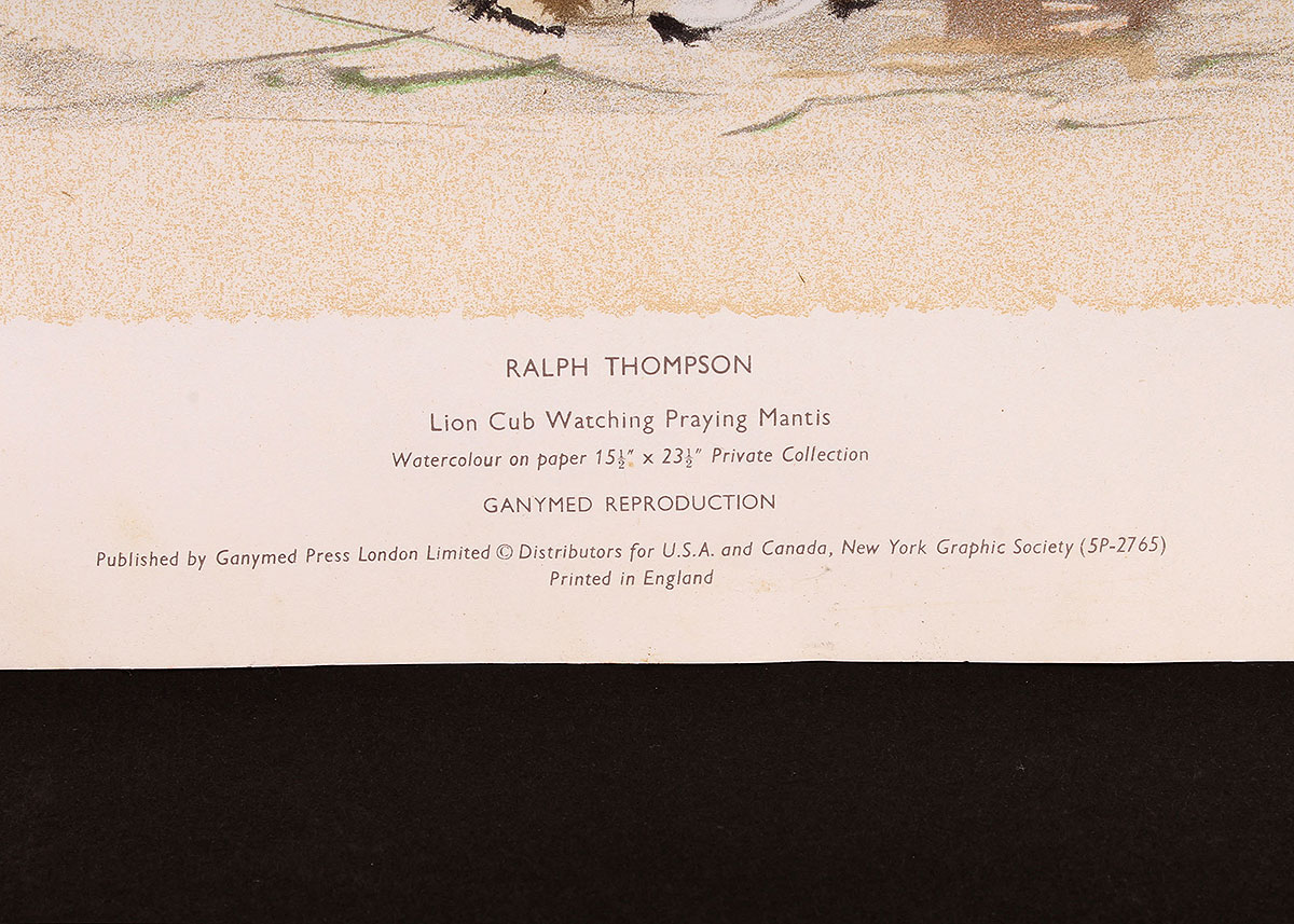 Lithograph Reproduction Print of Ralph Thompson Lion Cub Watching Praying Mantis