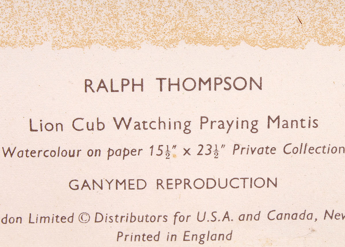 Lithograph Reproduction Print of Ralph Thompson Lion Cub Watching Praying Mantis