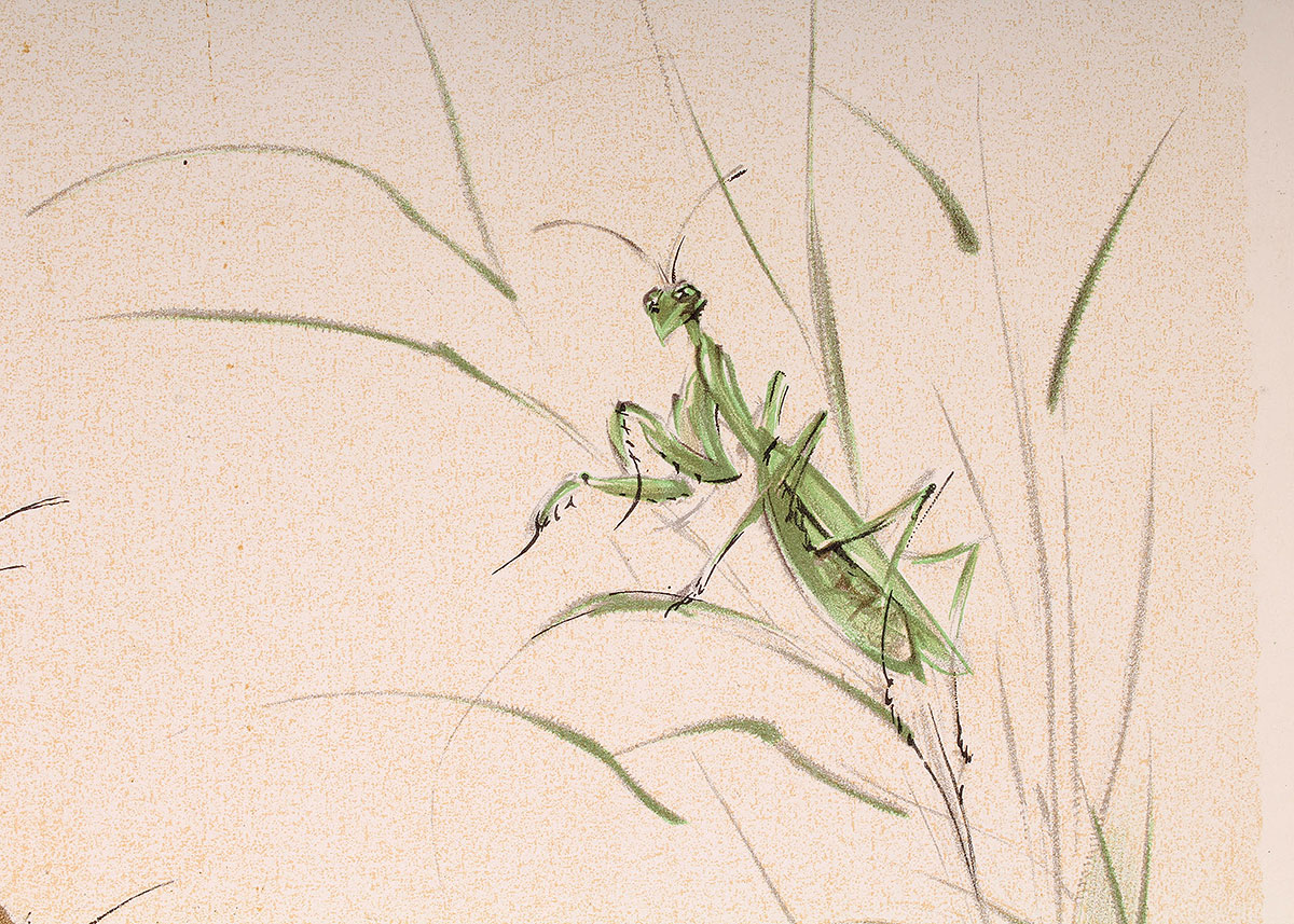 Lithograph Reproduction Print of Ralph Thompson Lion Cub Watching Praying Mantis