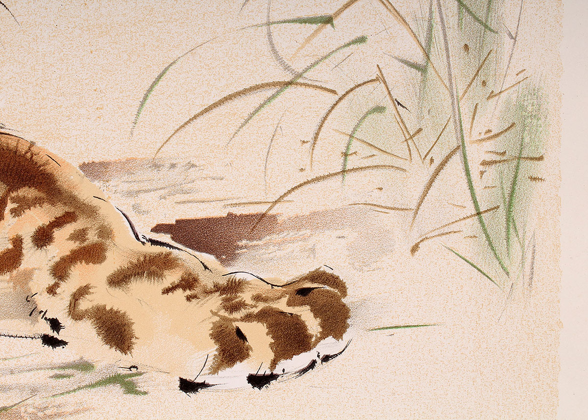 Lithograph Reproduction Print of Ralph Thompson Lion Cub Watching Praying Mantis