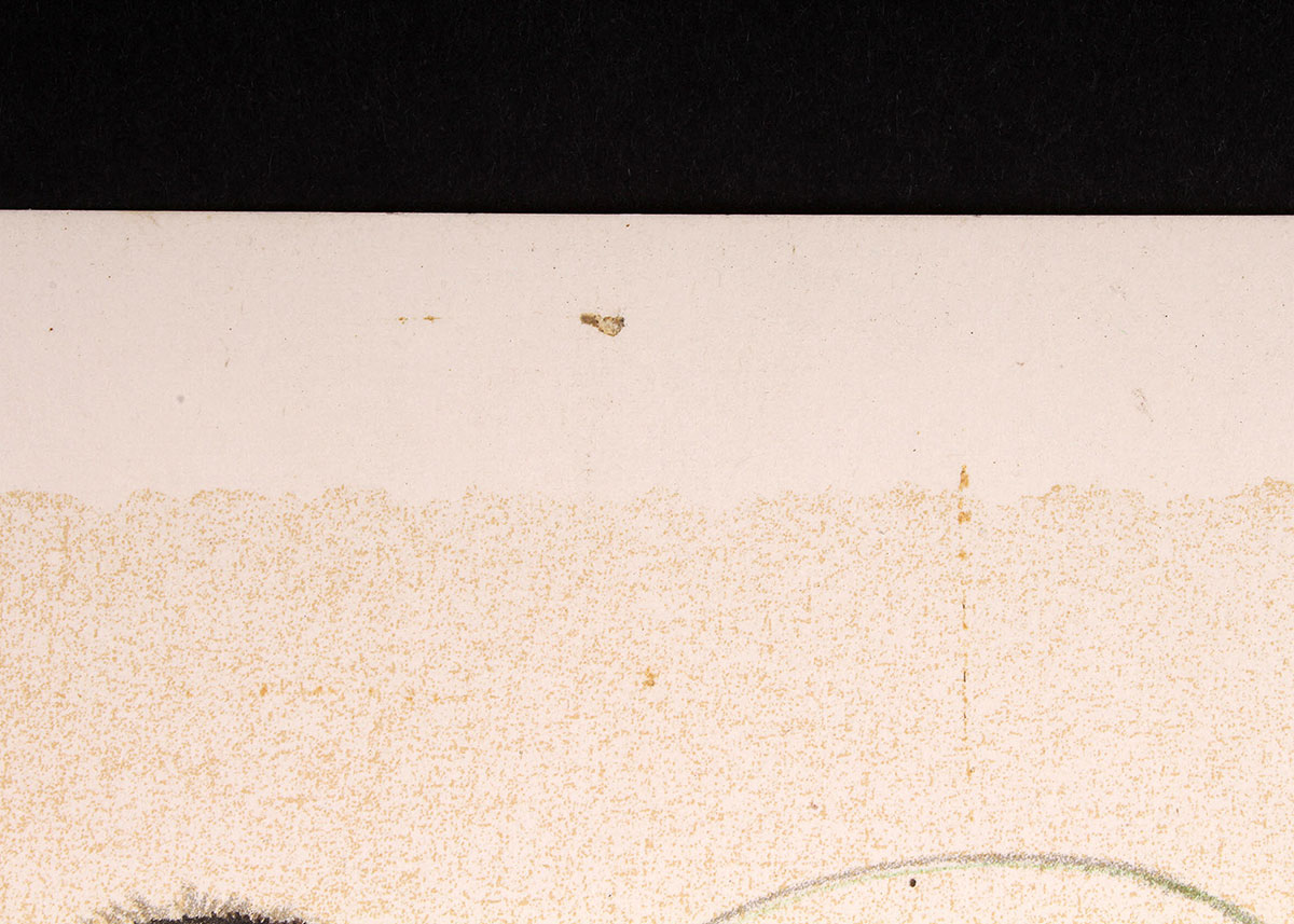 Lithograph Reproduction Print of Ralph Thompson Lion Cub Watching Praying Mantis