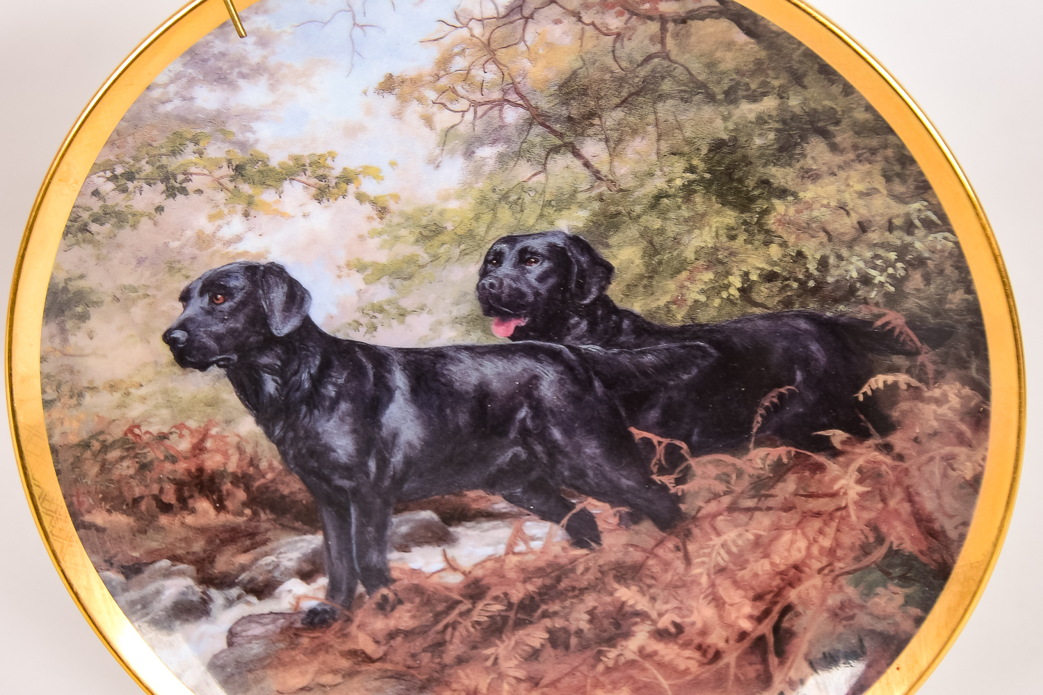 Assortment of Decorative Items