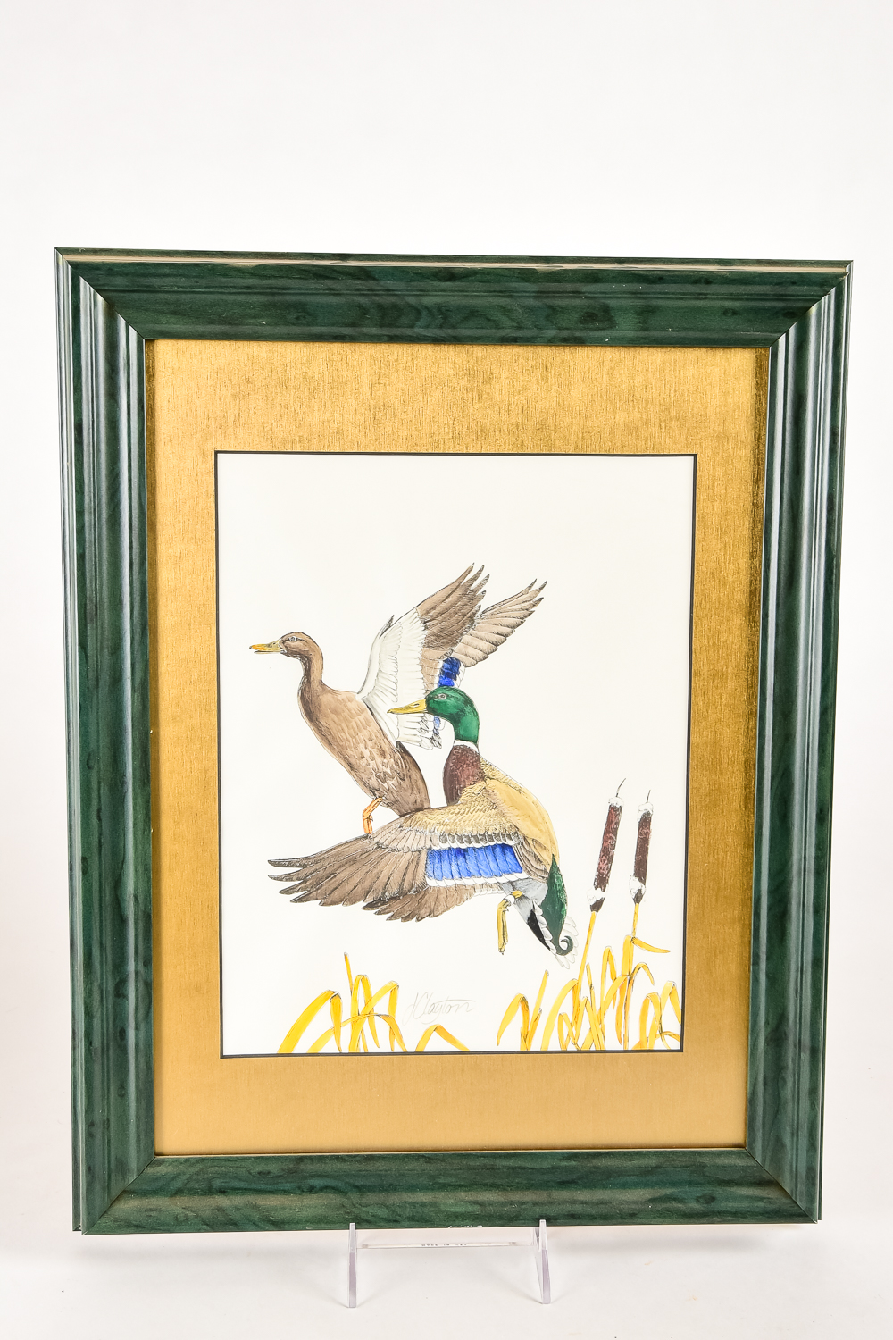 Wildlife Art Collection