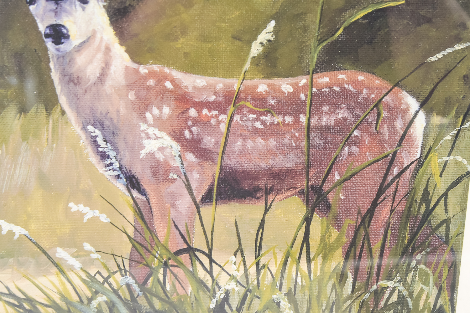 Wildlife Art Collection