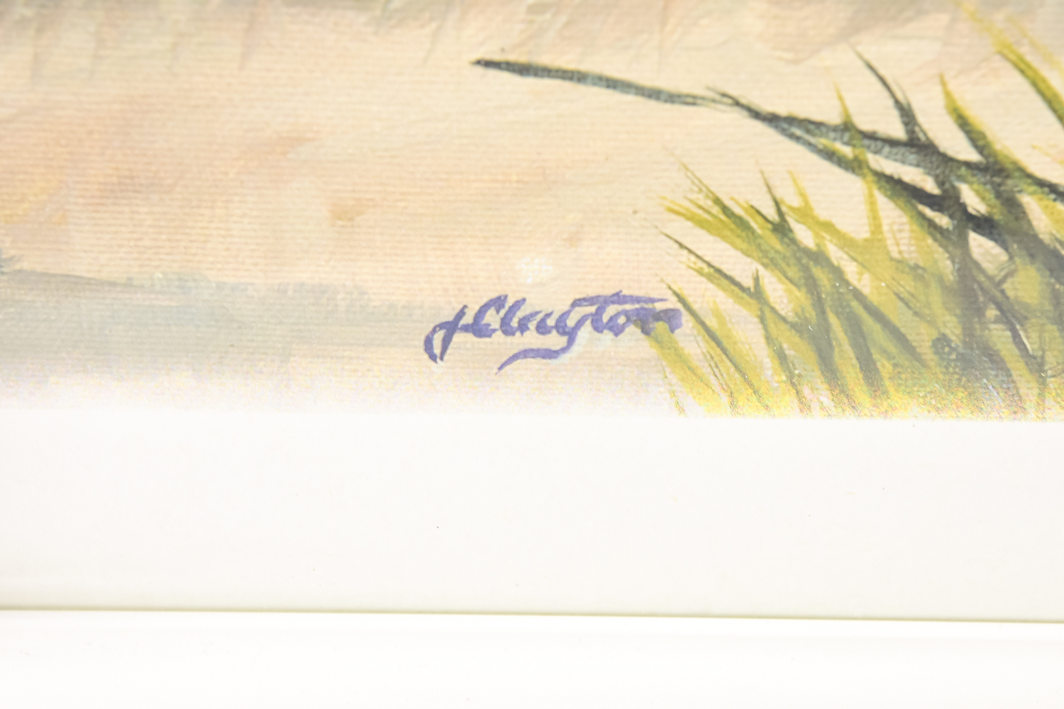 Wildlife Art Collection