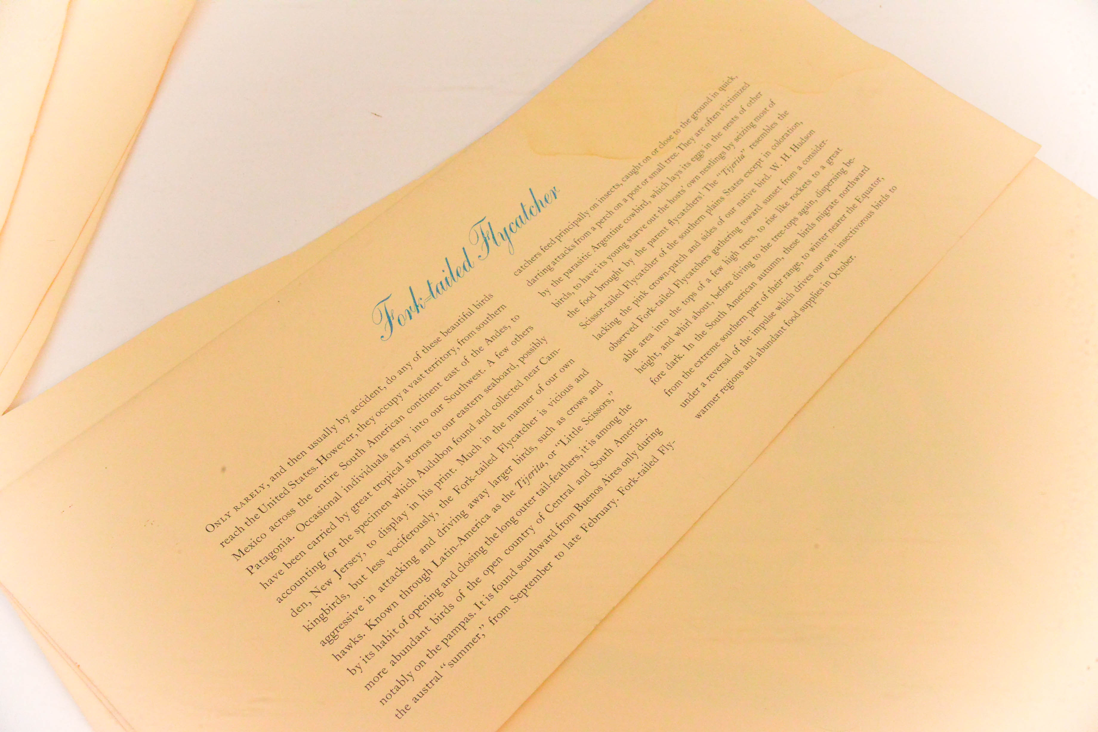 Collection of Eight Ornithological Lithographs