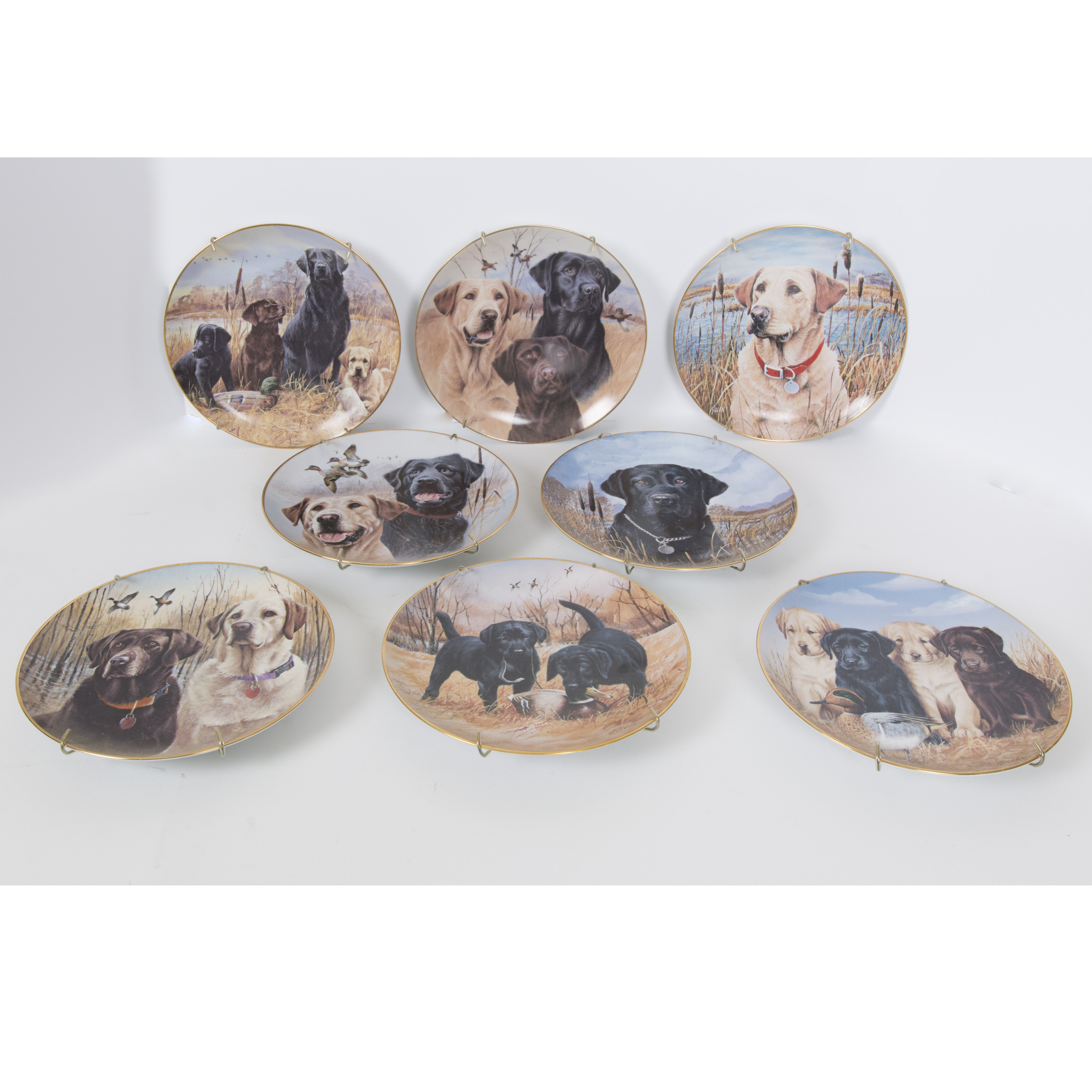 Labrador Retrievers Plate Collection by Jim Killen