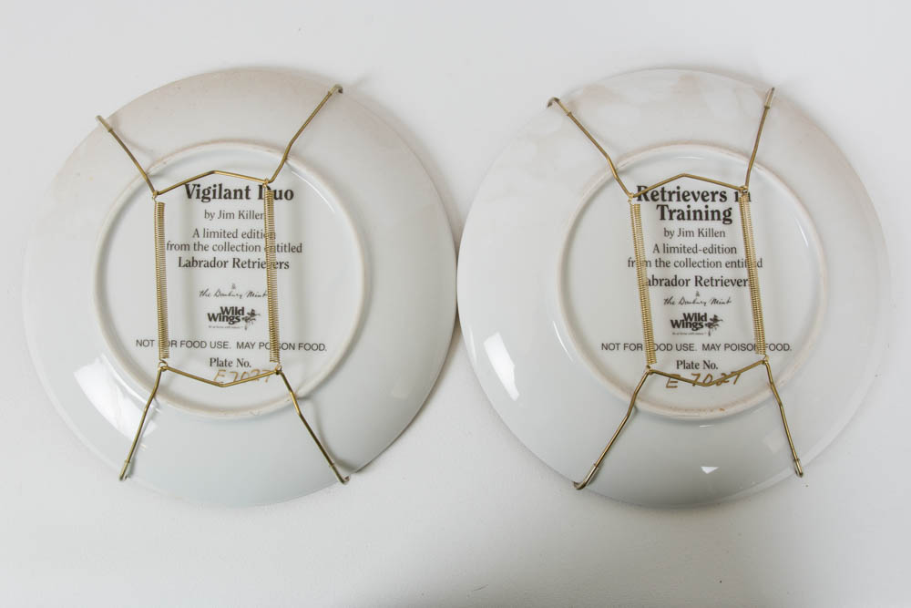 Labrador Retrievers Plate Collection by Jim Killen