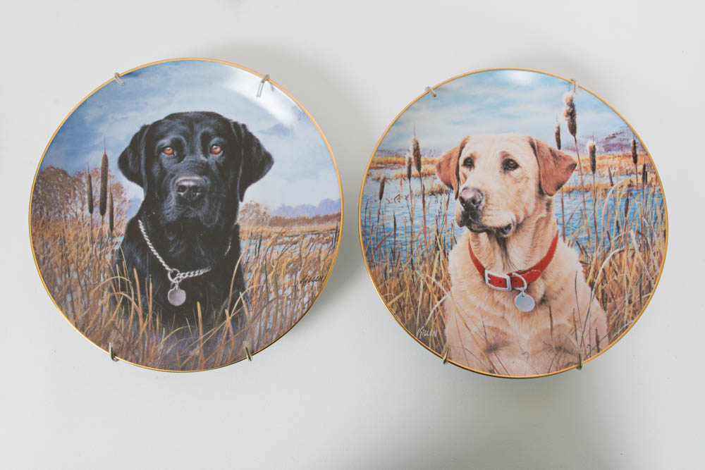Labrador Retrievers Plate Collection by Jim Killen