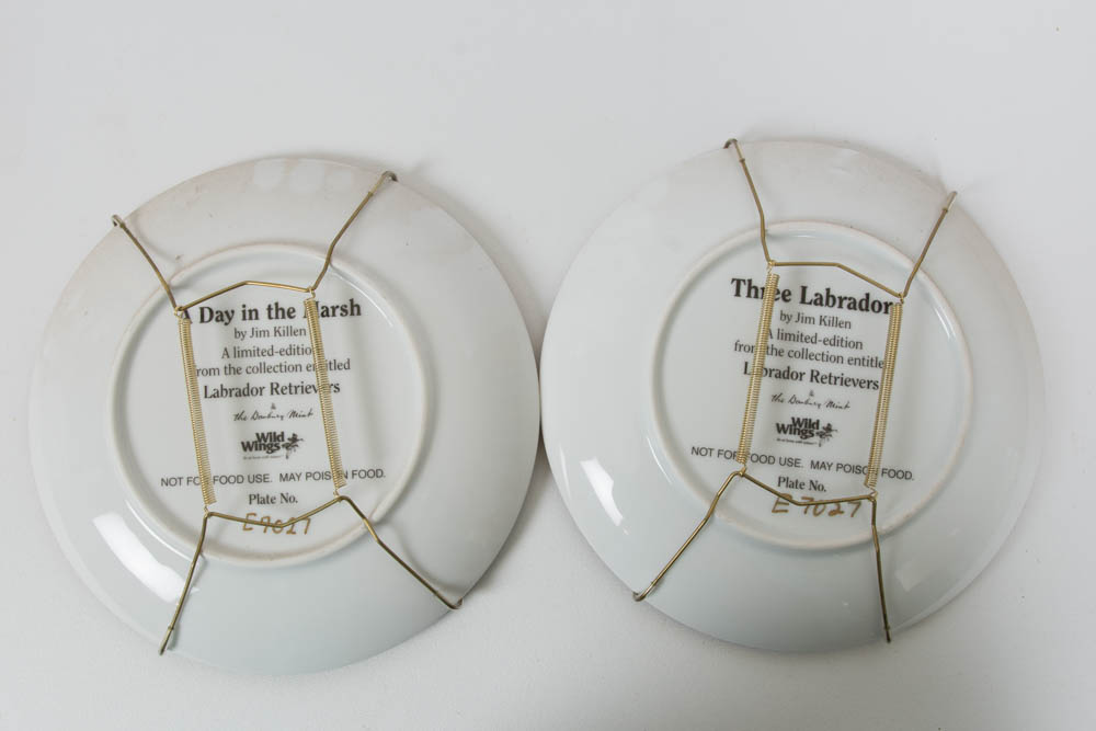 Labrador Retrievers Plate Collection by Jim Killen