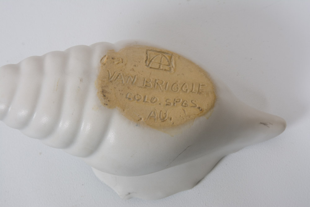 Assortment of Beach Decor