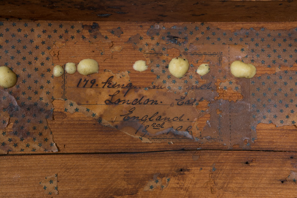 Wood Chest and Vintage Board Games