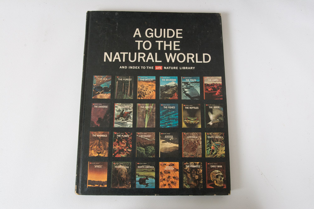 Collection of LIFE Books