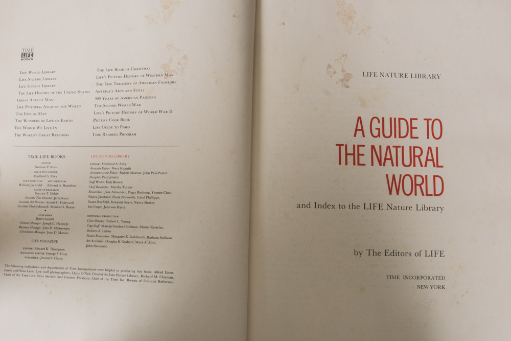 Collection of LIFE Books