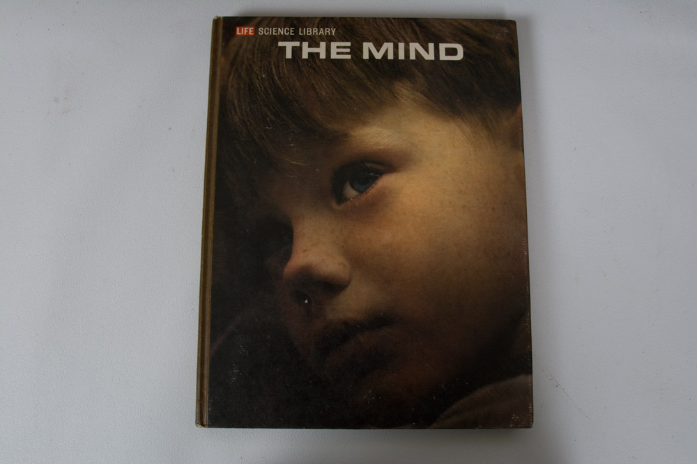 Collection of LIFE Books