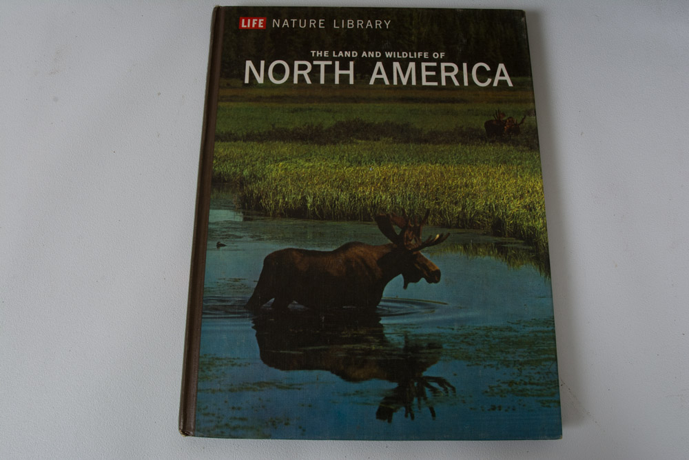 Collection of LIFE Books