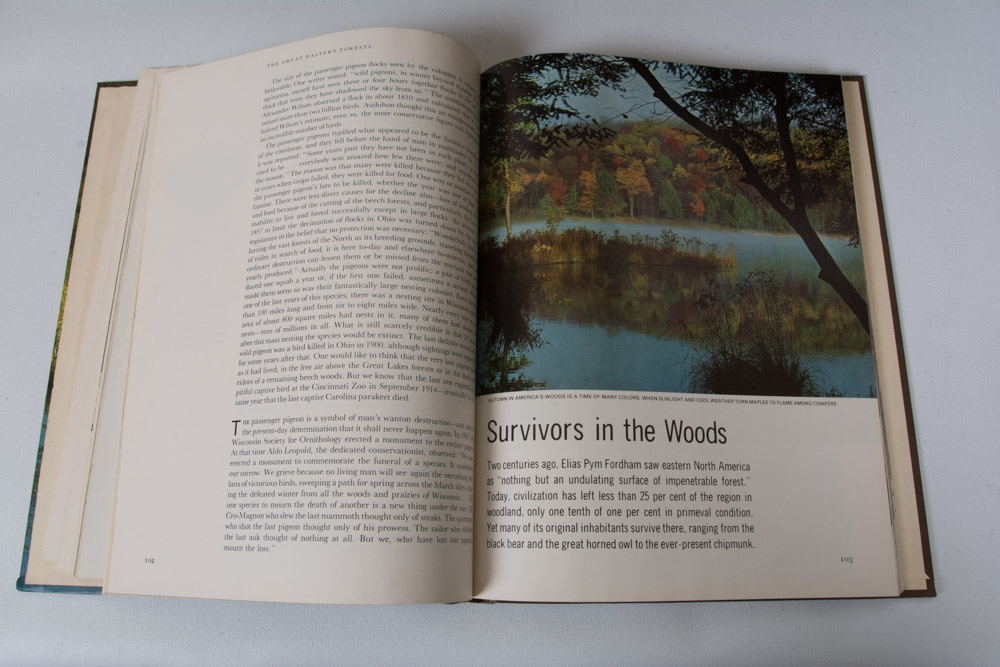 Collection of LIFE Books