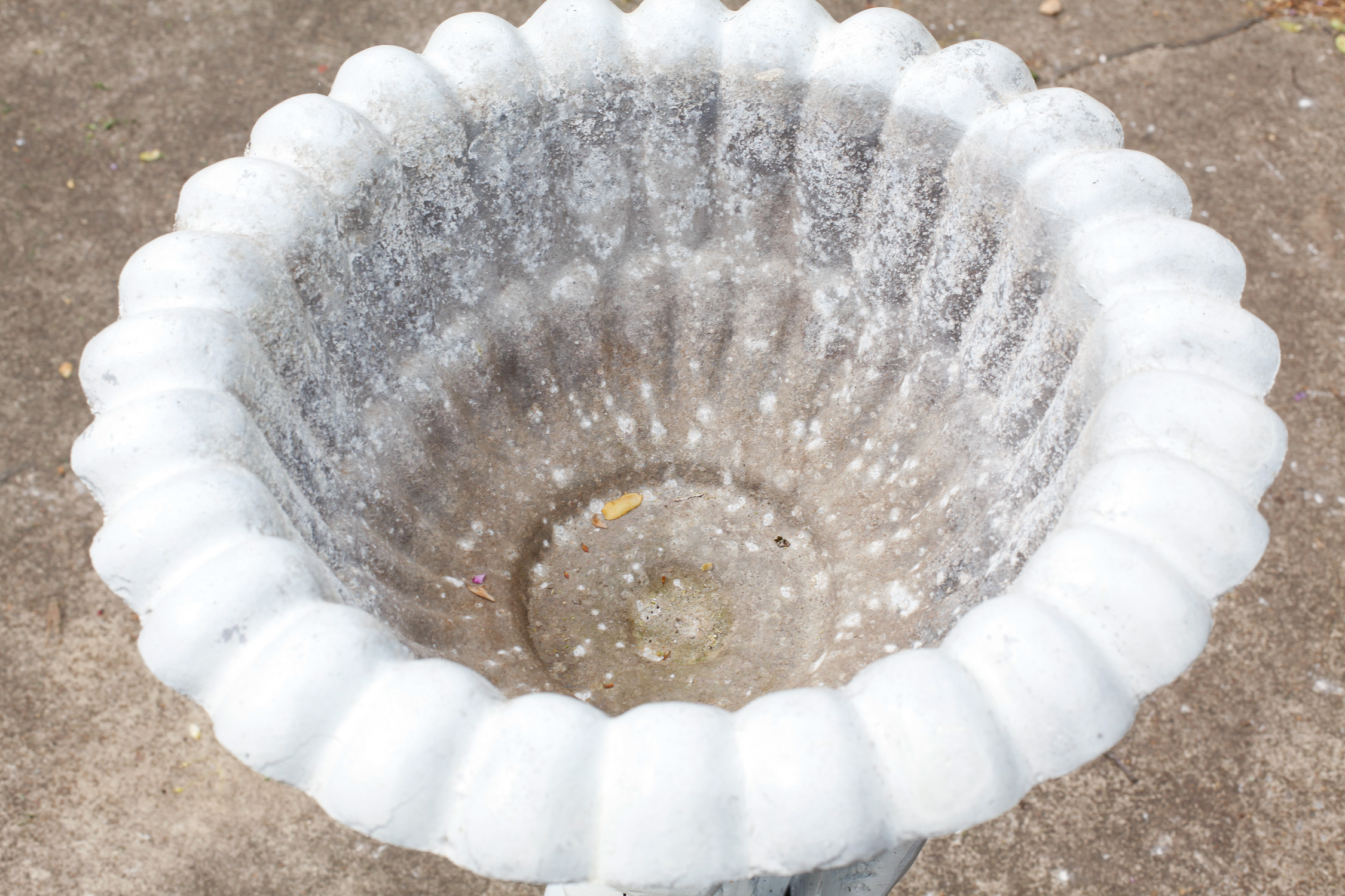 Dragon-Themed Bird Bath