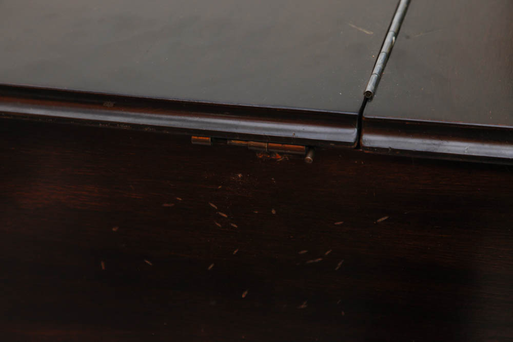 Apollo Mahogany Baby Grand Piano