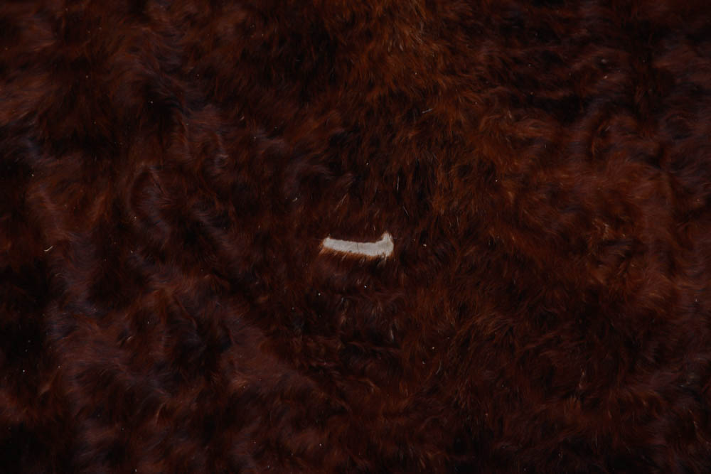 Brown and White Cow Hide Rug