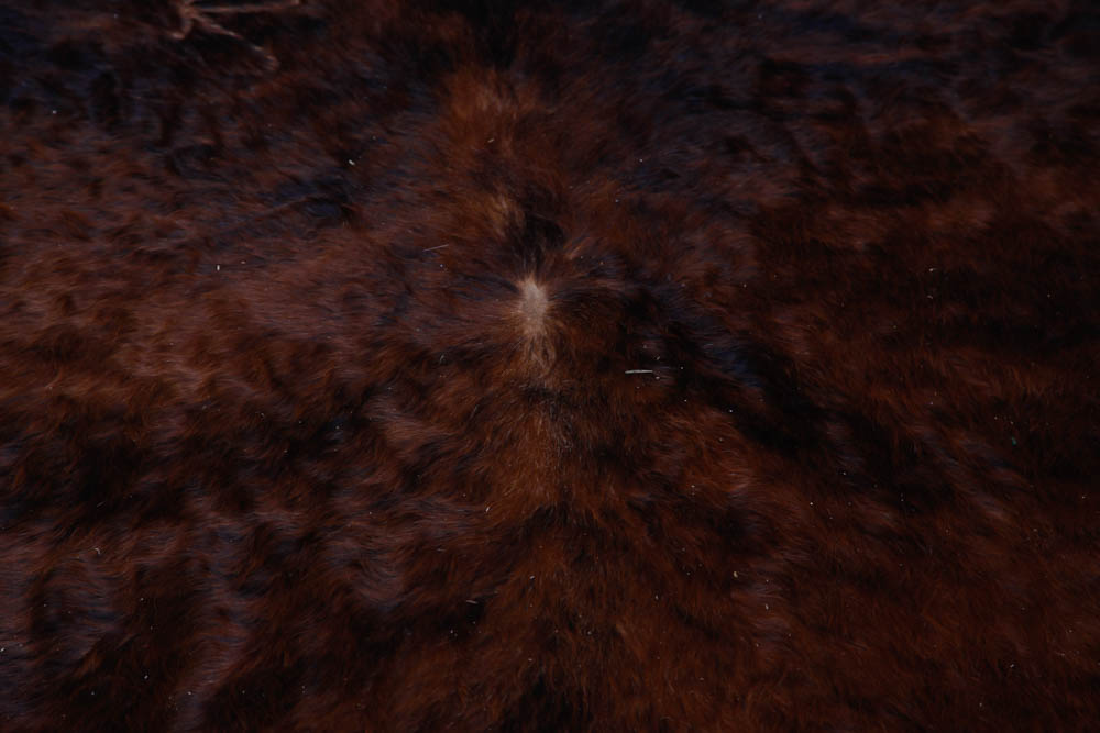 Brown and White Cow Hide Rug