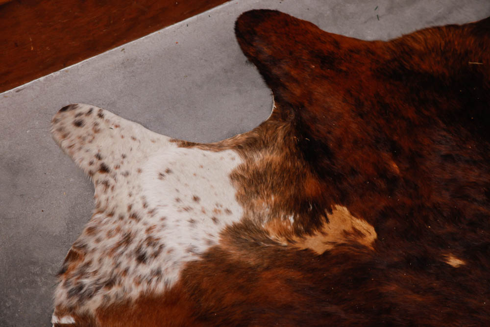 Brown and White Cow Hide Rug