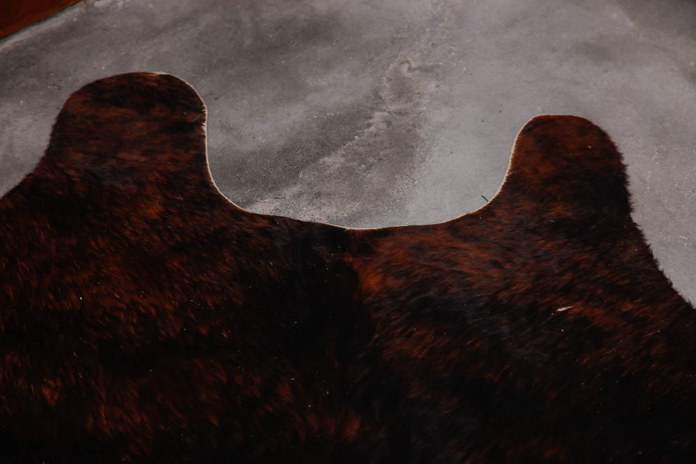 Brown and White Cow Hide Rug