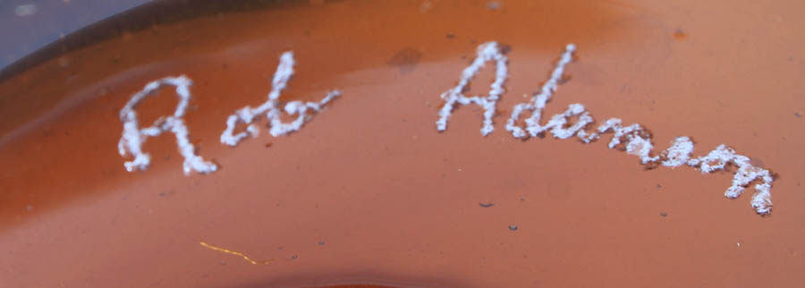 Rob Adamson Art Glass Bowl