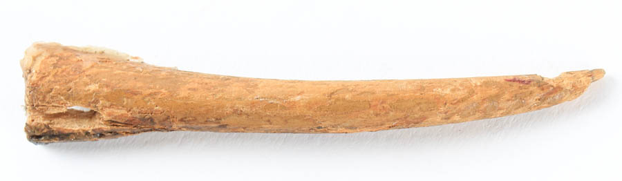 Antique Hand Painted Wood Carved Elephant